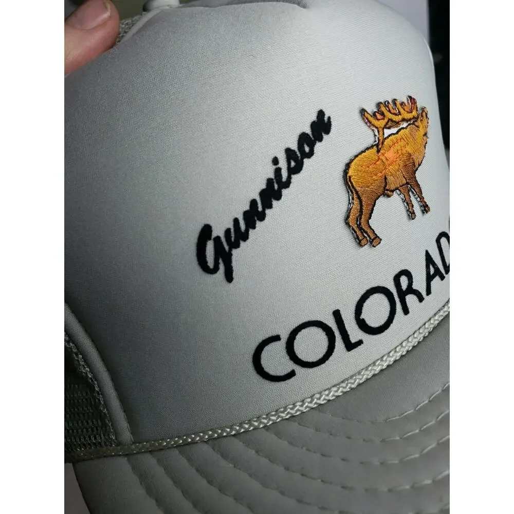 Nissin colorado vtg